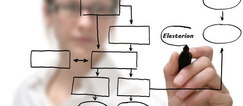 Project Management